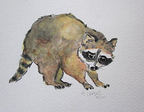 Woodland Nursery Art Prints, Forest Animals, Baby Animals, Raccoon, Baby Raccoon, Original Art Print, Andrea Lapins Art, Raccoon Print, Cute Little Bandit