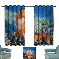 DONEECKL Heat Insulation Curtain Fox Serene Autumn Field in Cold Morning with Fox Nature Scenery Grass Perspicacious Noise Reducing Curtain W55 xL45 Blue White Orange