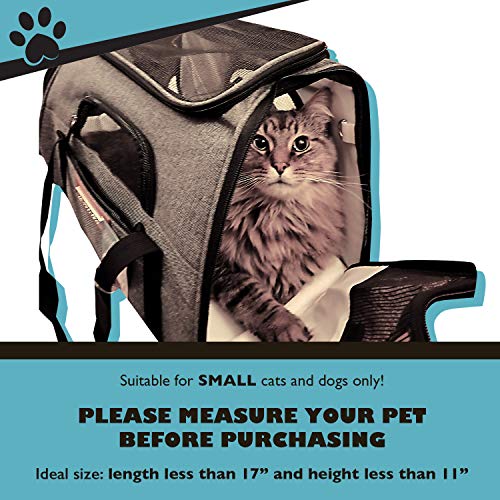 Pawfect Pets Airline Approved Pet Carrier SoftSided Cat Carrier and