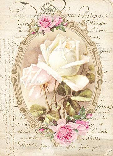 Furniture Wood Decal Image Transfer Vintage Antique Labels Flower Oval Rose DIY (Decal, A5-5.8 x 8.3 Inches)