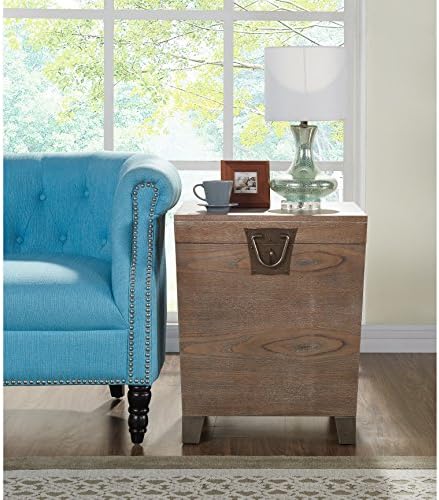 Harper Blvd Palmcroft Trunk End Table - Burnt Oak