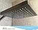 Vida Alegría RAIN Shower Head; 8-Inch Soft Rain; 2.5 gpm (Nickel, Brushed)