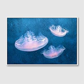 Framed Canvas Wall Art for Living Room, Bedroom Floating Jellyfish IV Canvas Prints for Home Decoration Ready to Hang - 16x24 inches