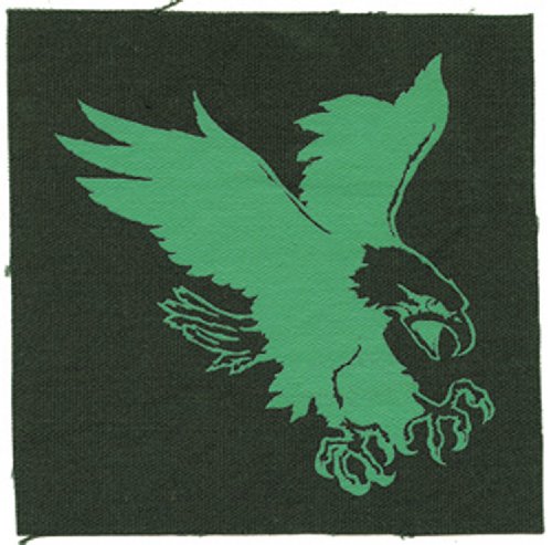 Application Generic Eagle Canvas Patch
