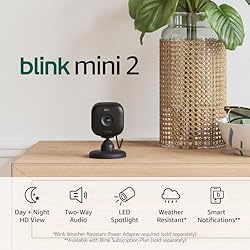 Blink Mini 2 — Home Security & Pet Camera(s) with