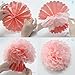 Party Decoration Kit 20 Pcs Mint Peach Glitter Gold Tissue Paper Pom Poms Flower Tissue Paper Hanging Tassels Polka Dot Paper Garlands for Baby Shower Wedding Nursery Bridal Shower
