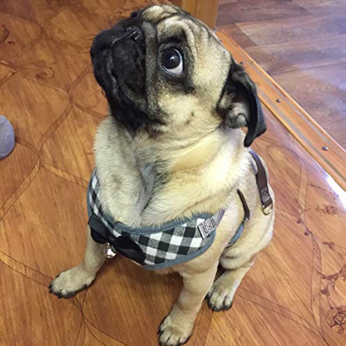 image for RYPET Small Dog Harness and Leash Set - No Pull Pet Harness with Soft 