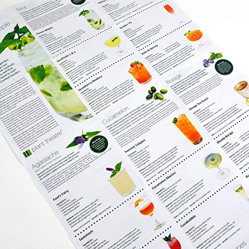 Plant Theatre Cocktail Herb Growing Kit Grow 6 Unique Indoor Garden