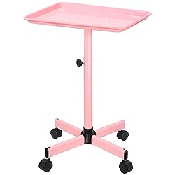 JOSTZHXIN Salon Tray, Height Adjustable Salon SPA