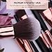 Docolor Makeup Brushes 11Pieces SE Series Makeup Brushes Set Professional Face Powder Foundation Blending Contour Highlight Eye Shadow Make Up Brushes Kit (Black/Golden)…