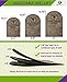 Premium Adjustable Orthopedic Heel Lift - Made in The USA - for Heel Pain and Leg Length Discrepancies - Small - 1 Single Lift