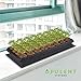 OPULENT SYSTEMS Durable Waterproof IP67 Seedling Heat Mat Seed Starting Plant Hydroponic Heating Pad for Indoor Seedling and Germination 10