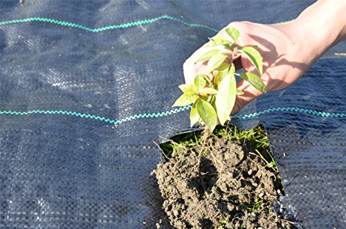 Ecover 5oz Landscape Weed Barrier Needle-Punched Fabric Weed Block for Raised Bed Gardening Mat with Peg - 6' x 8',Black