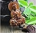 PureaquHandmade Traditional Safty Buddha Dragon Car Key Pendant Carving Car Rear Mirror Hanging Ornament Wooden Muslim Wooden Accessory Decoration Gift Automotive Interiors Car Decoration 1PCS