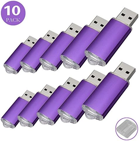 RAOYI 10 Pack 16GB Bulk USB Flash Drive USB 2.0 Memory Stick Thumb Drive Jump Drive Pen Drive, Purple