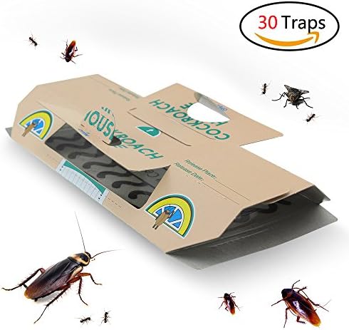 Buyalot 30 Packs Cockroach Traps with Bait Included, Sticky Paper House Roaches Captured Killer Non-Toxic and ECO-Friendly