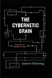 The Cybernetic Brain: Sketches of Another Future