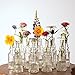 Luna Bazaar Small Vintage Glass Bottle Set (6.5-Inch, Ella Square Design, Clear, Set of 12) - Flower Bud Vases Bulk - for Party and Wedding Centerpieces