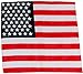 Novelty Bandanas 100% Cotton, Head Wrap 22