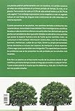 Image de Sensibilidad e inteligencia en el mundo vegetal
