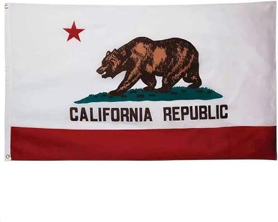 Amazon Co Jp Kcos カリフォルニア フラッグ 旗 インテリア 州旗 タペストリー ビッグフラッグ California アメリカン 雑貨 西海岸 ガレージ 90cm 150cm おもちゃ