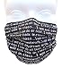 Breathe Healthy CHILD Size Dust, Allery & Flu Mask; Allergy Mask for Kids - Filters Dust, Pollen, Allergens, & Flu Germs with Antimicrobial Germ Killing Agent; Chalkboard Words Design