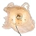 Kurt S. Adler Kurt Adler 14-Inch Multi Fiberoptic Treetop Angel Tree Topper