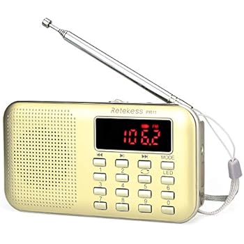 Amazon.com: LEFON Mini Digital AM FM Radio Media Speaker MP3 Music