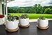 Opps White Ceramic Cute Succulent Cactus Plant Pot with Bamboo Tray – Pack of 3