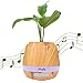 Mugig Music Flowerpot, Music Plant Pot with Wireless Bluetooth Speaker, Multi-color LED Light Smart Touch Musical Flower Pots for Office Home Decor