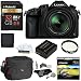 Panasonic Lumix DMC-FZ1000 4K QFHD/HD 16X Long Zoom Digital Camera (Black) + Polaroid 32GB+ Battery + Polaroid 62mm UV Filter + Camera Bag + Cleaning Kit + Screen Protector + Wallet