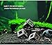 XMHF Ceramic Aquarium Small Fish Shrimp Crayfish Breeding Cube Block Shelter 5 Pcs