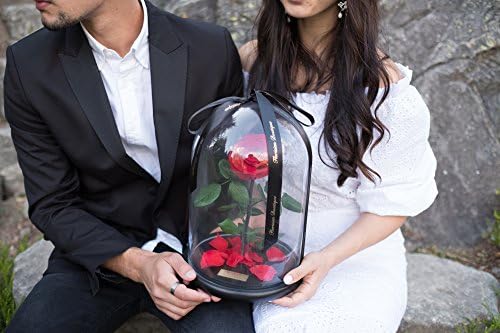 Life Size 11"-13" Real "Enchanted Rose" That Will Last Up To 5 Years In A Luxury Glass Dome Inspired By Beauty And The Beast, Belle Rose, Preserved Rose (red)