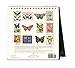 Cavallini Papers & Co 2018 Butterflies Desk Calendar