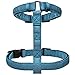 Embark Illuminate Reflective Dog Harness – Easy On and Off, No Choke Dog Walking Harness - Visible from All Angles -Anti Pull Dog Harness- Dog Harness for Small Dogs Medium, large Dogs, Blue Dog Vest.