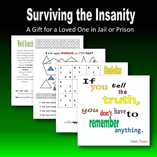 Surviving the Insanity: a gift for a loved one in jail or prison by C. Mahoney