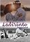 Livro Labirinto Emocional