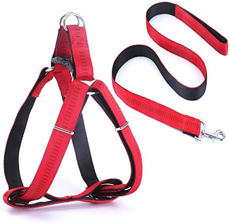 most durable dog harness