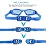 EverSport Swim Goggles, Pack of 2, Swimming Glasses for Adult Men Women Youth Kids Child, Anti-Fog, UV Protection, Shatter-Proof, Watertight(LightBlue&Mirrored Black)