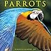 Parrots 2017 Wall Calendar