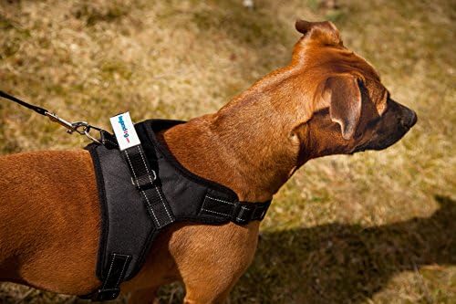 Theglamdog No Pull Adjustable Dog Harness and Walking Leash (Large in Black), Reflective Stitching