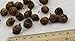Calla Lily Bulbs, Radiation Absorption, 20 Bulbs (Calla No: 2)