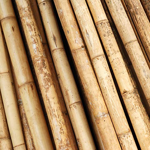 Bond Manufacturing N408 500-Pack Natural Bamboo, 4-feet by 3/8-inch, 4 ft - Thumbnail 6