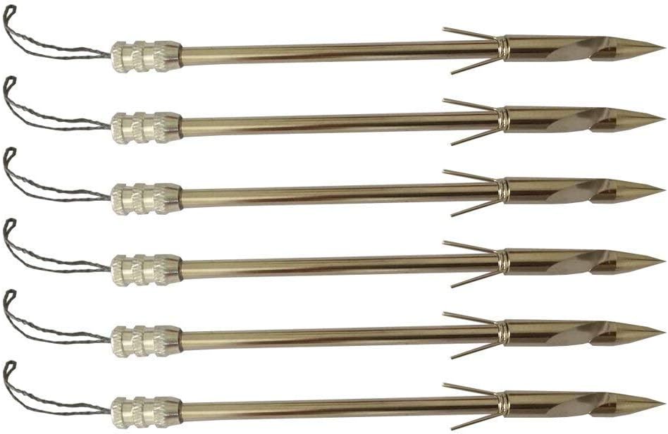 Alohha6pcs Stainless Steel Fishing Broadheads Bowfishing Darts Hunting Arrow Heads Point Tips for Hunting Pro Slingshot Catapult Target Game