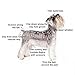 YIHONG Pet Clippers, Professional Cordless Electric Dog Clippers Rechargeable Dog Hair Clippers Low Noise Pet Trimmers Grooming Trimming Kit Tool Set (White)
