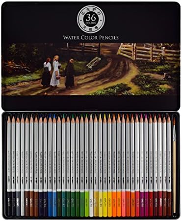 Water Color Pencils, Art Drawing Kit With A Brush Vibrant Color,for Kids Artist Writing/Field Sketch/Manga Artwork/Secret Garden Coloring Book(Not Included), Tin Case Organizer(36 Color) (36pcs)