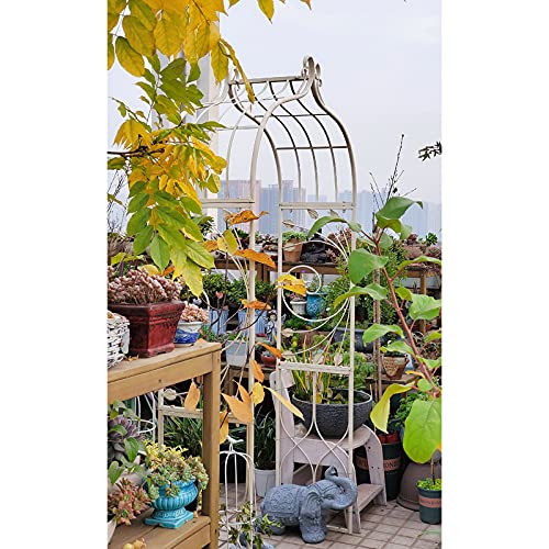 Rosenbogen aus Metall, Pergola Laube, für Kletterpflanze Rosen Reben, Indoor Outdoor Garten Patio Dekoration… – Bild 7