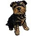Michael Carr Designs Sergeant York Yorkshire Terrier Puppy S Outdoor Puppy Dog Figurine for Gardens, patios and lawns (80091) Black