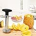 Easy Tool Stainless Steel Fruit Pineapple Corer Slicer Peeler Cut