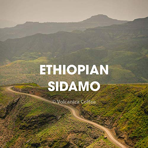 Organic Ethiopian Coffee, Sidamo, Fair Trade, Ground, 116-ounces